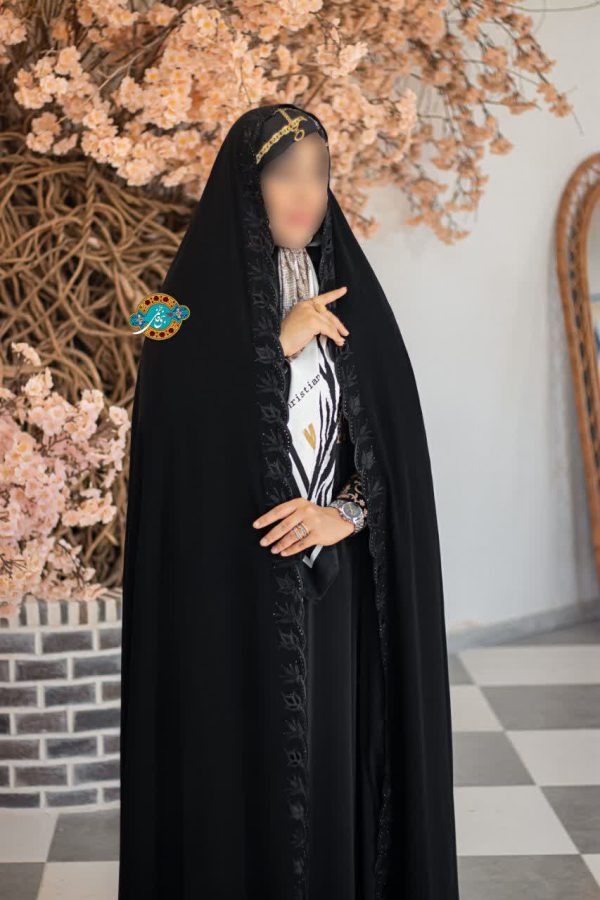 IMG_20241209_235044_250